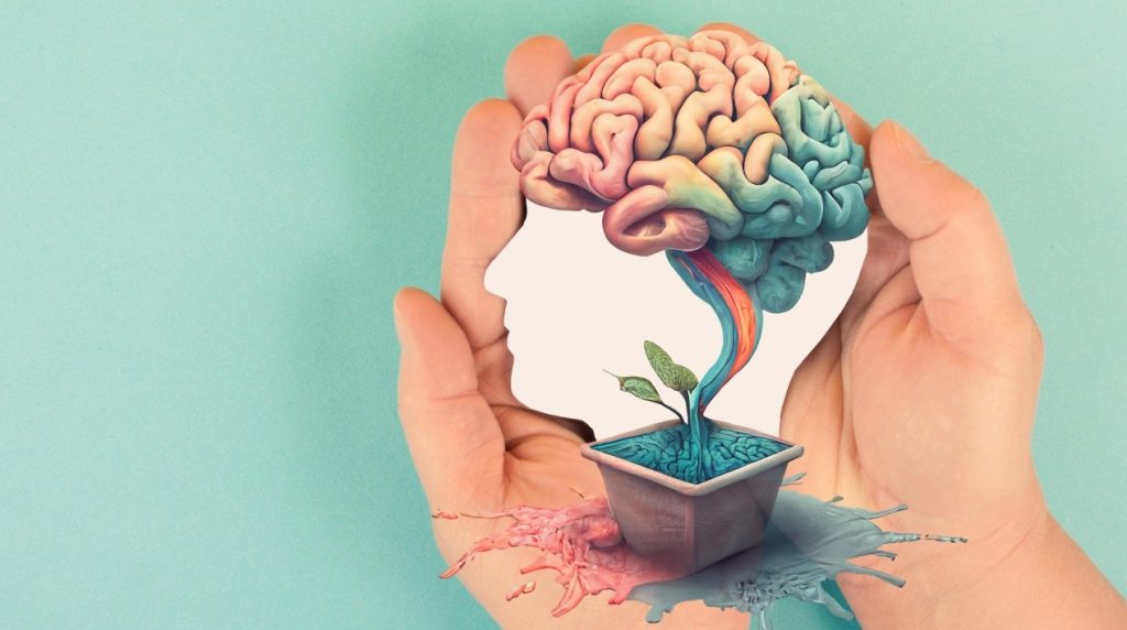 A imagem ilustra um conceito criativo relacionado à saúde mental e bem-estar no trabalho. Duas mãos cuidadosamente envolvem a silhueta de uma cabeça humana feita com papel branco. No topo da silhueta, um cérebro colorido emerge, representando criatividade, pensamento e saúde mental. De dentro da cabeça, um pequeno broto verde cresce em um vaso, com uma cascata de cores fluindo para fora dele, simbolizando florescimento, crescimento e equilíbrio emocional. O fundo é em tom pastel, transmitindo calma e serenidade.
