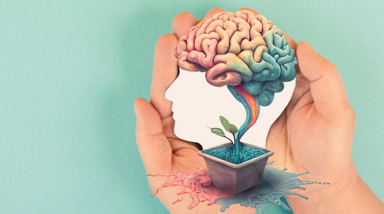 A imagem ilustra um conceito criativo relacionado à saúde mental e bem-estar no trabalho. Duas mãos cuidadosamente envolvem a silhueta de uma cabeça humana feita com papel branco. No topo da silhueta, um cérebro colorido emerge, representando criatividade, pensamento e saúde mental. De dentro da cabeça, um pequeno broto verde cresce em um vaso, com uma cascata de cores fluindo para fora dele, simbolizando florescimento, crescimento e equilíbrio emocional. O fundo é em tom pastel, transmitindo calma e serenidade.